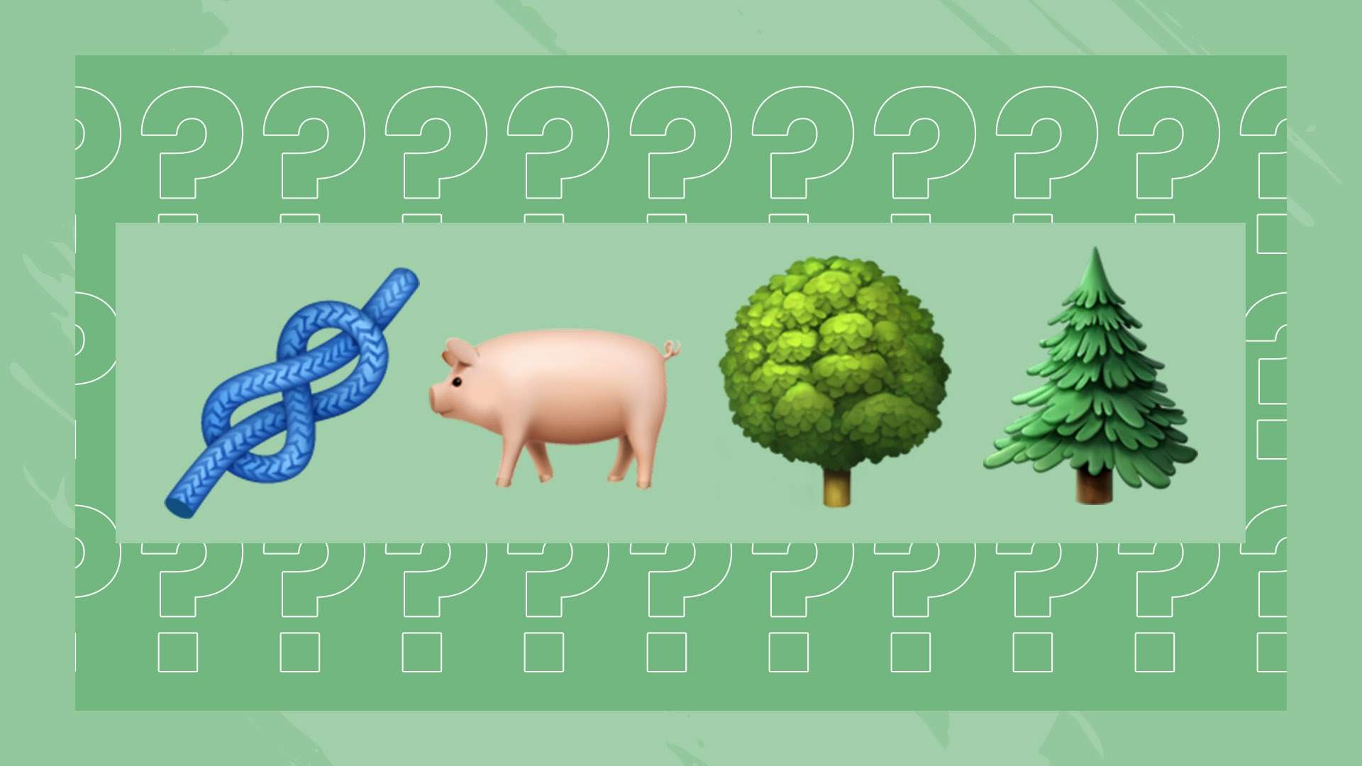 这些平台不 这些平台不