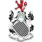 大量观众 大量观众